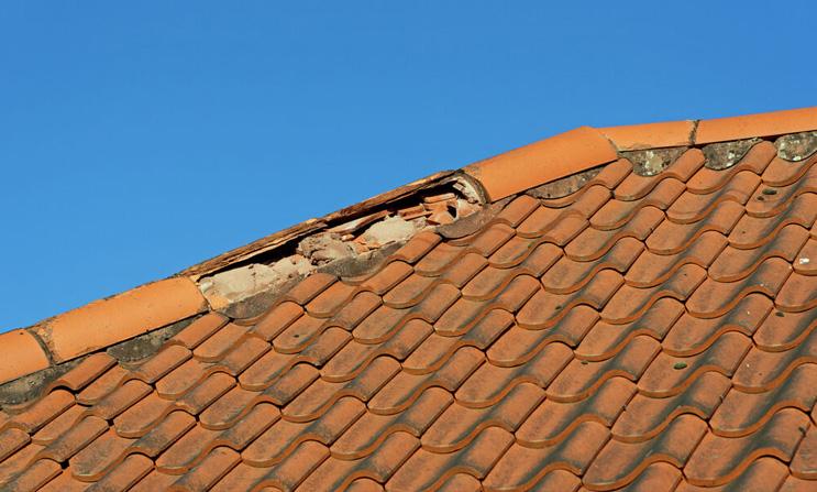 1. Revisión inicial antes del frío 1. Revisión inicial antes del frío