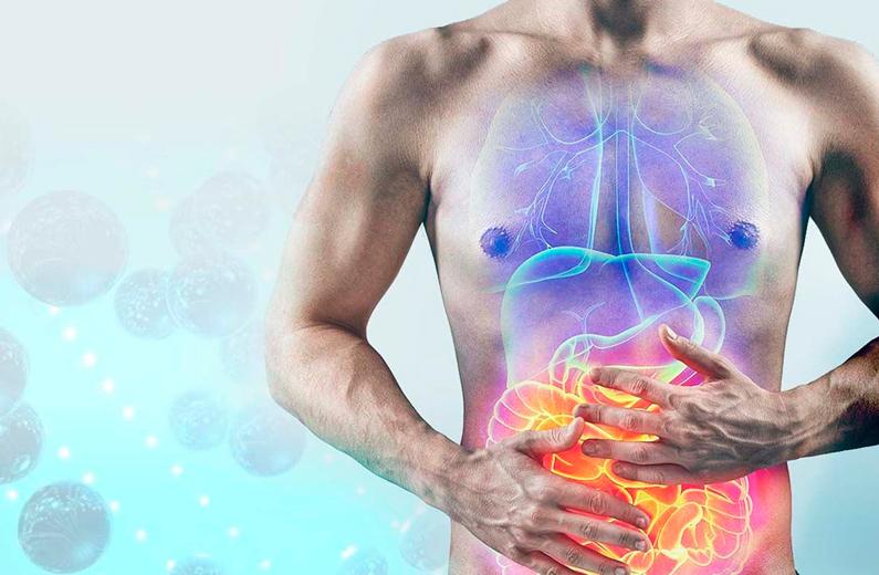 Metales pesados: acumulación, biointerferencia y riesgo sistémico