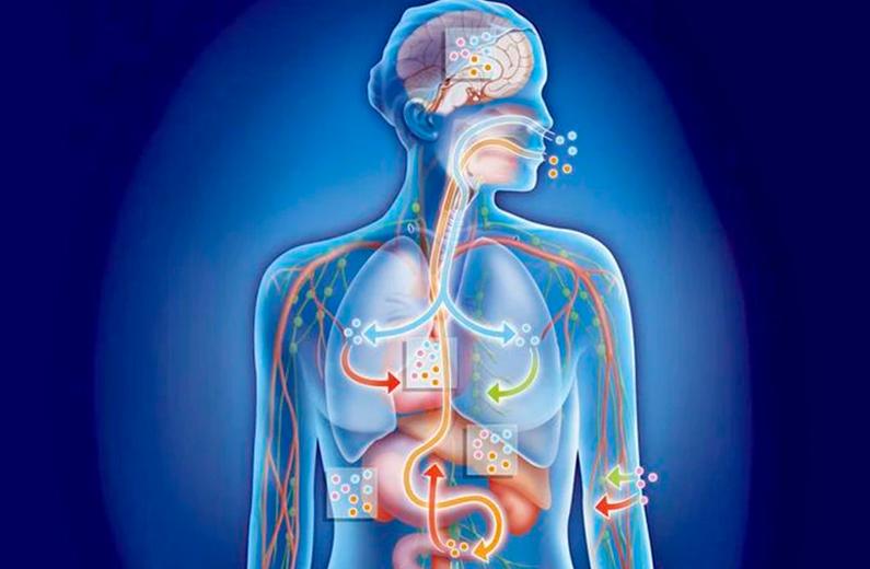 Productos químicos tóxicos y disrupción endocrina